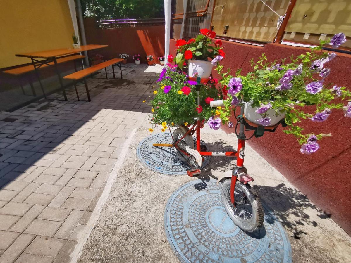 1 For Rent Hotel Клуж-Напока Екстериор снимка